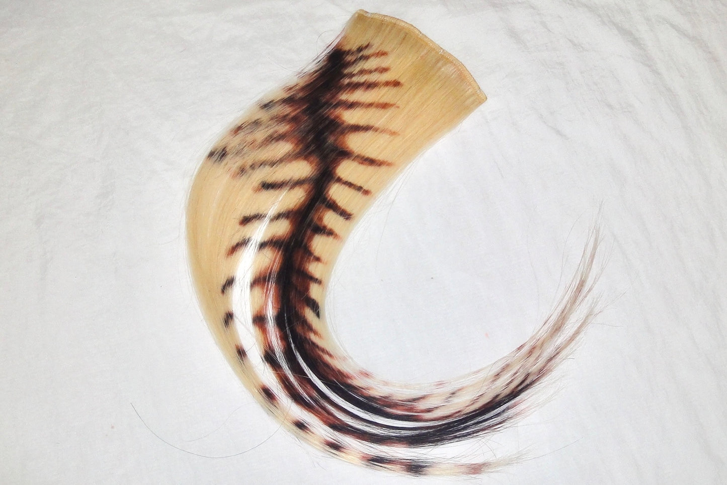 018 Fish Spin
